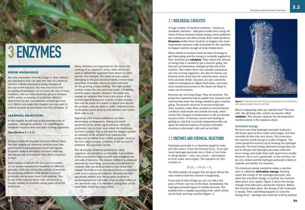 Produktbild: AQA A LEVEL BIOLOGY SB1