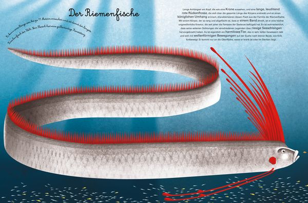 Produktbild: Das gro&beta;e Buch der Seetiere. Das kleine Buch der Seetiere