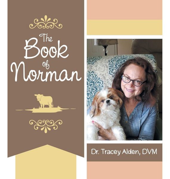 Produktbild: The Book of Norman