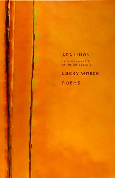 Produktbild: Lucky Wreck