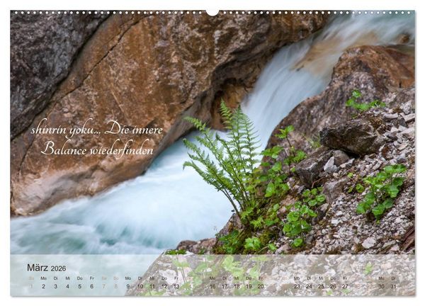 Produktbild: Shinrin yoku - Waldbaden 2026 (Wandkalender 2026 DIN A2 quer), CALVENDO Monatskalender