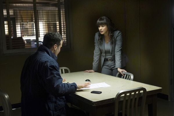 Blue Bloods - Staffel 5  [6 DVDs]