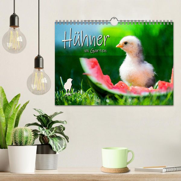 Produktbild: H&uuml;hner im Garten (Wandkalender 2026 DIN A4 quer), CALVENDO Monatskalender