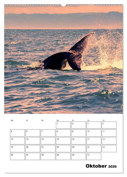 Produktbild: Karibik pur - mit Charme und Zauber (Wandkalender 2026 DIN A2 hoch), CALVENDO Monatskalender