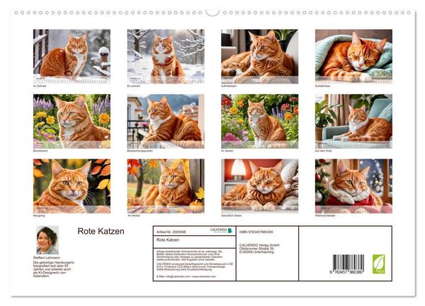 Produktbild: Rote Katzen (hochwertiger Premium Wandkalender 2026 DIN A2 quer), Kunstdruck in Hochglanz