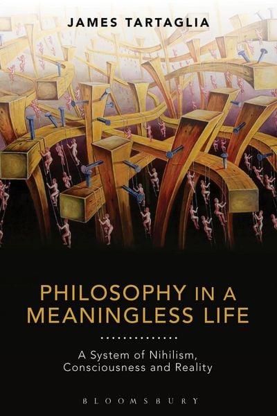 Produktbild: Philosophy in a Meaningless Life