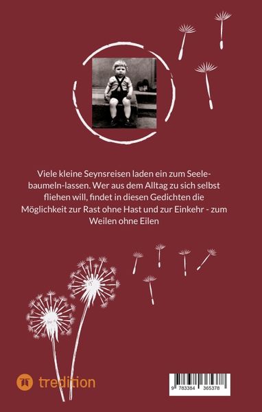 Produktbild: Meine Seyn(e) Reime