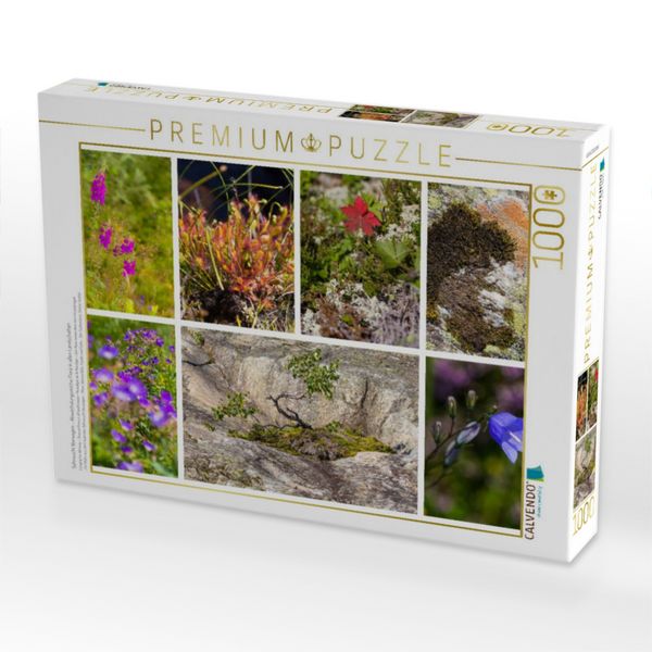Produktbild: CALVENDO Puzzle Sehnsucht Norwegen - Abwechslungsreiche Flora in allen Landschaften | 1000 Teile Lege-Gr&ouml;&szlig;e 64x48cm Foto-Puzzle f&uuml;r gl&uuml;ckliche Stunden