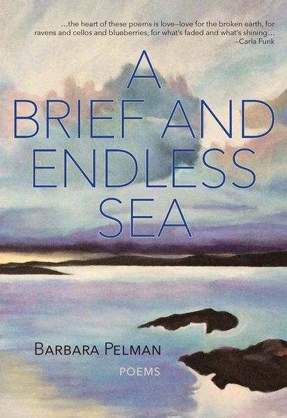Produktbild: A Brief and Endless Sea