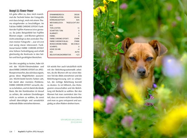 33 JPEG-Rezepte für Fujifilm X-Kameras