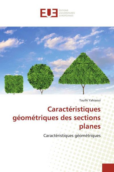 Produktbild: Caract&eacute;ristiques g&eacute;om&eacute;triques des sections planes