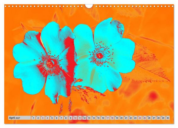 Produktbild: Blumen Pop-Art (Wandkalender 2027 DIN A3 quer), CALVENDO Monatskalender