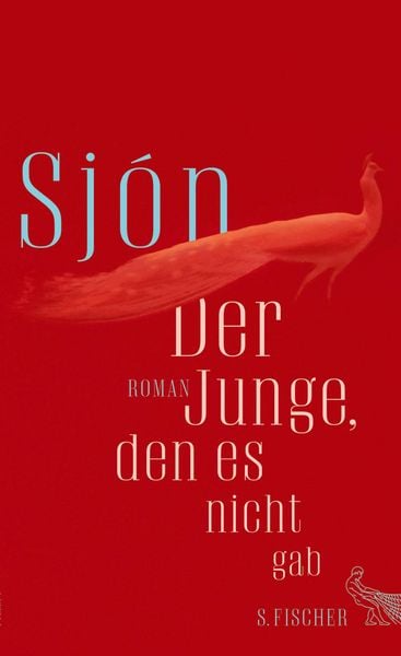Produktbild: Der Junge, den es nicht gab