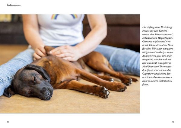 Produktbild: Hunde f&uuml;hlen und anleiten