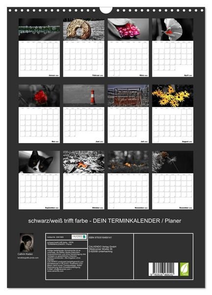 Produktbild: schwarz/wei&szlig; trifft farbe - DEIN TERMINKALENDER / Planer (Wandkalender 2026 DIN A3 hoch), CALVENDO Monatskalender
