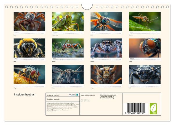 Produktbild: Insekten hautnah (Wandkalender 2026 DIN A4 quer), CALVENDO Monatskalender