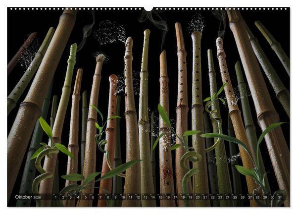 Produktbild: Musica fant&aacute;sia - Die wundersame Welt des Fotok&uuml;nstlers Olaf Bruhn (Wandkalender 2026 DIN A2 quer), CALVENDO Monatskalender