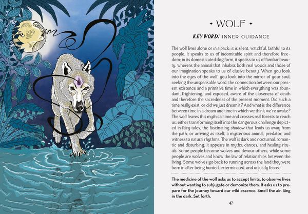 Produktbild: World Shamans Oracle