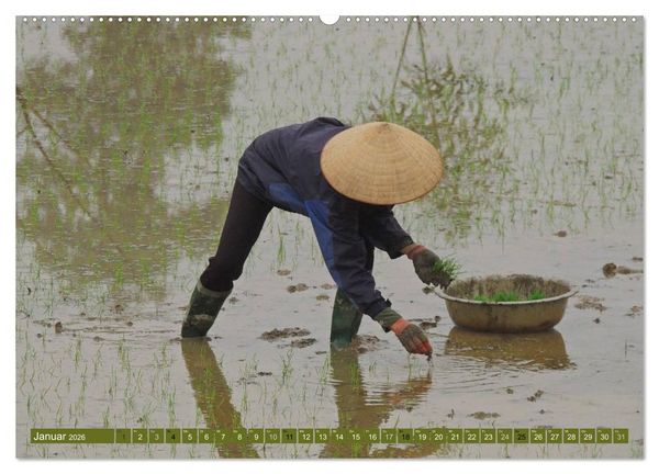 Produktbild: Vielseitiges Vietnam (Wandkalender 2026 DIN A2 quer), CALVENDO Monatskalender