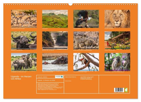 Produktbild: Uganda - im Herzen von Afrika (Wandkalender 2026 DIN A2 quer), CALVENDO Monatskalender