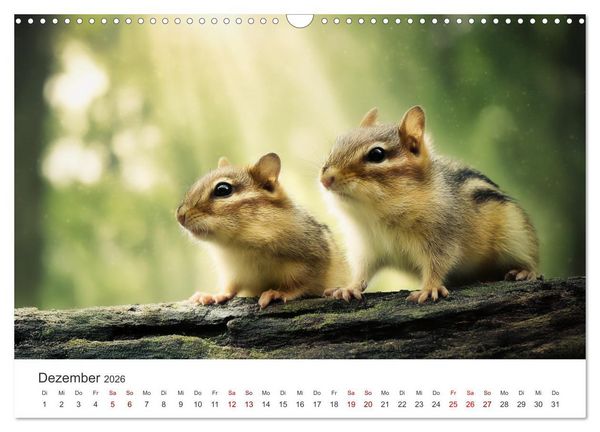 Produktbild: Backen voll - Ein Jahr mit Streifenh&ouml;rnchen (Wandkalender 2026 DIN A3 quer), CALVENDO Monatskalender