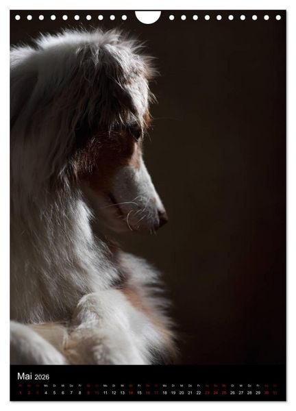 Produktbild: Stille Momente - Die sensible Seite der Hunde (Wandkalender 2026 DIN A4 hoch), CALVENDO Monatskalender