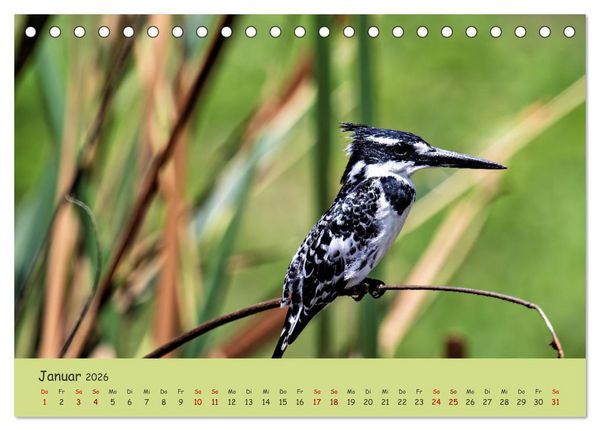Produktbild: Gefiederte Sch&ouml;nheiten Ostafrikas (Tischkalender 2026 DIN A5 quer), CALVENDO Monatskalender