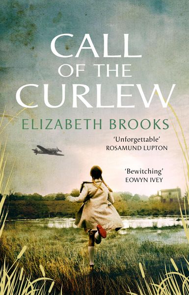Produktbild: Call of the Curlew