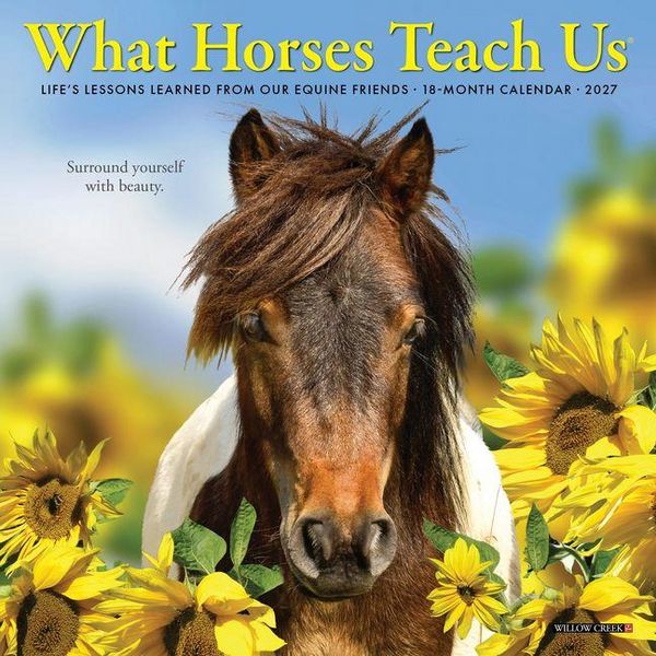 Produktbild: What Horses Teach Us 2027 7 X 7 Mini Wall Calendar