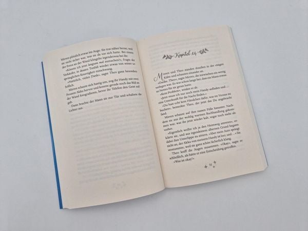 Produktbild: Das verschwundene Weihnachtsbuch