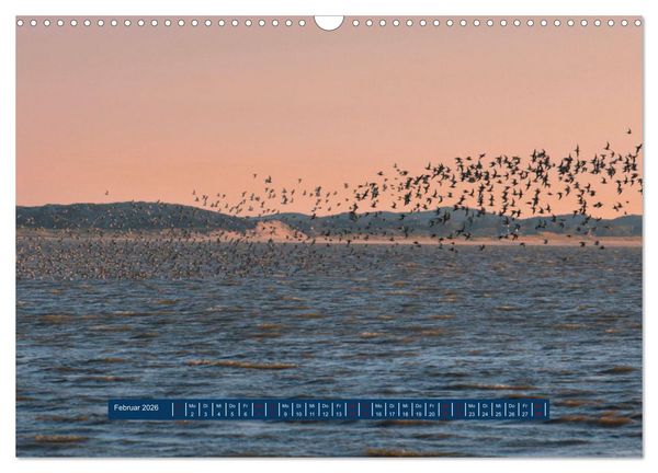 Produktbild: Ein Tag am Meer - Impressionen von der Insel Sylt (Wandkalender 2026 DIN A3 quer), CALVENDO Monatskalender