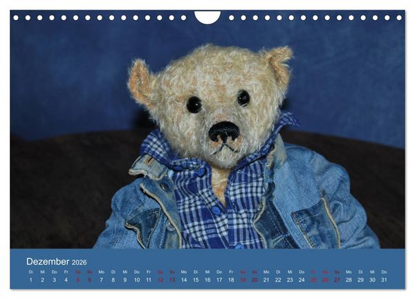 Produktbild: Robin der B&auml;r (Wandkalender 2026 DIN A4 quer), CALVENDO Monatskalender