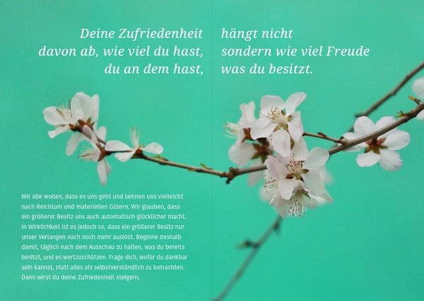 Produktbild: Wecke deine Lebensfreude