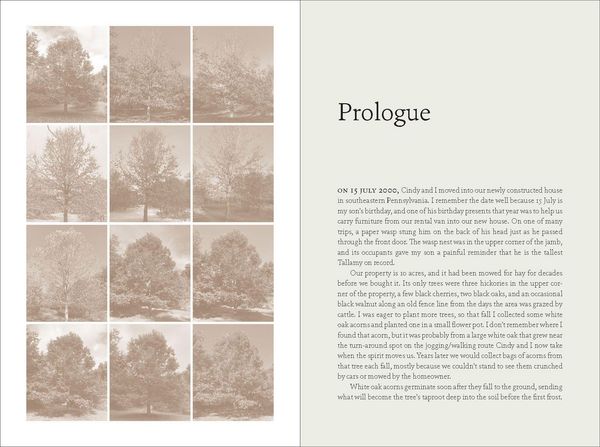 Produktbild: The Nature of Oaks