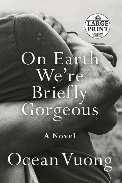 On Earth We're Briefly Gorgeous, Taschenbuch von Ocean Vuong, Diversified Publishing, 9780593104293