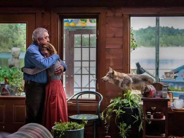Produktbild: Der Wolf und der L&ouml;we