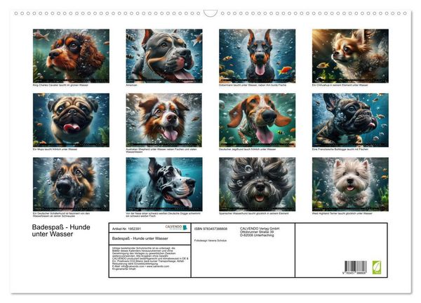 Produktbild: Badespa&szlig; - Hunde unter Wasser (Wandkalender 2026 DIN A2 quer), CALVENDO Monatskalender