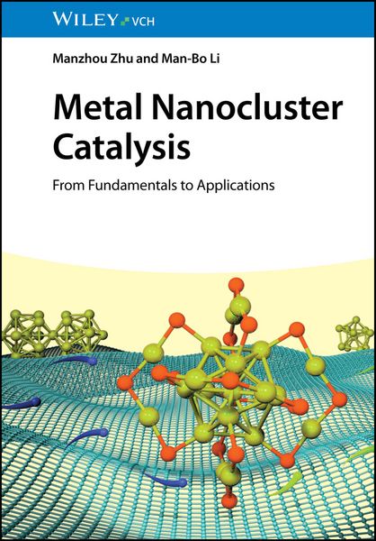 Produktbild: Metal Nanocluster Catalysis