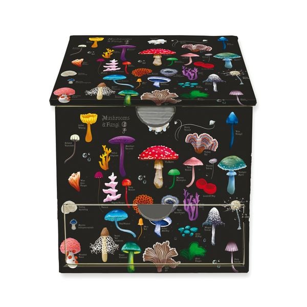 Produktbild: Memo Cube: Anna Stead, Champignons und Pilze