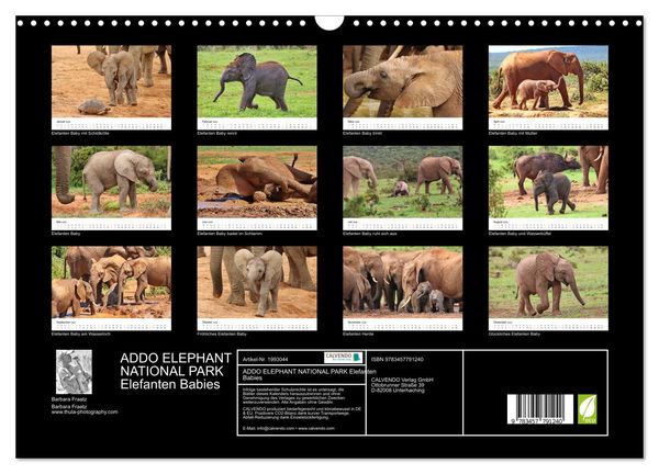 Produktbild: ADDO ELEPHANT NATIONAL PARK Elefanten Babies (Wandkalender 2026 DIN A3 quer), CALVENDO Monatskalender