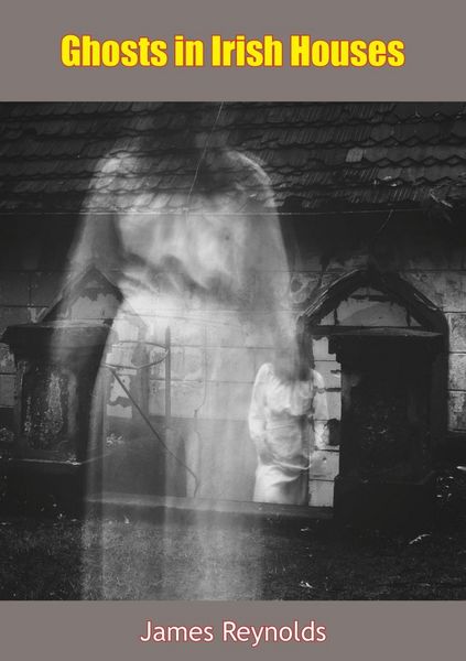 Produktbild: Ghosts in Irish Houses