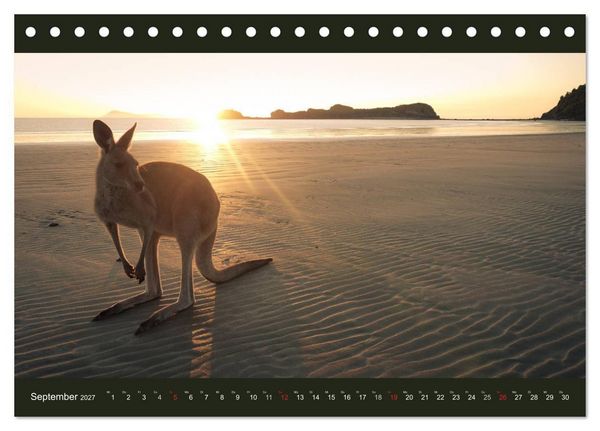 Produktbild: Australien - Farbige Vielfalt (Tischkalender 2027 DIN A5 quer), CALVENDO Monatskalender