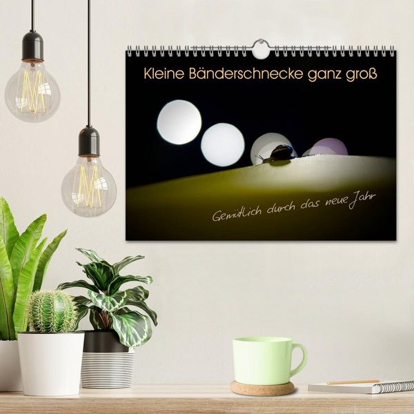 Produktbild: Kleine B&auml;nderschnecke ganz gro&szlig; - Gem&uuml;tlich durch das neue Jahr (Wandkalender 2026 DIN A4 quer), CALVENDO Monatskalender
