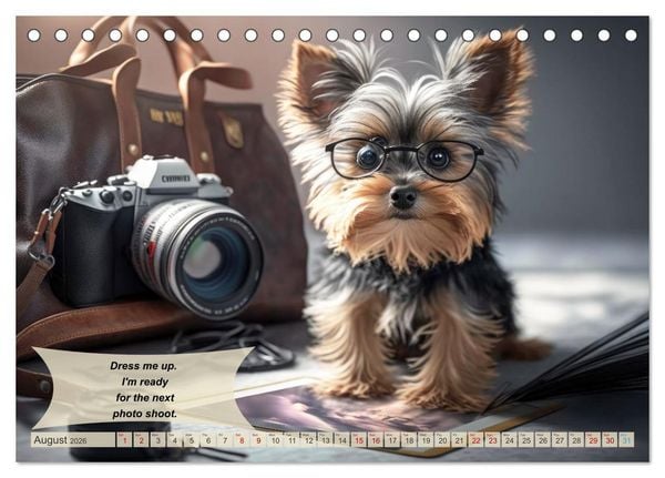 Produktbild: Great fun for Yorkshire Terrier lovers (Desk Calendar 2026 DIN A5 landscape), CALVENDO 12 Month DeskCalendar
