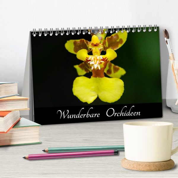 Produktbild: Wunderbare Orchideen (Tischkalender 2026 DIN A5 quer), CALVENDO Monatskalender