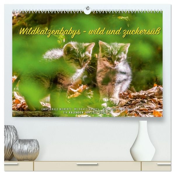 Produktbild: Wildkatzenbabys - wild und zuckers&uuml;&szlig;. (hochwertiger Premium Wandkalender 2026 DIN A2 quer), Kunstdruck in Hochglanz