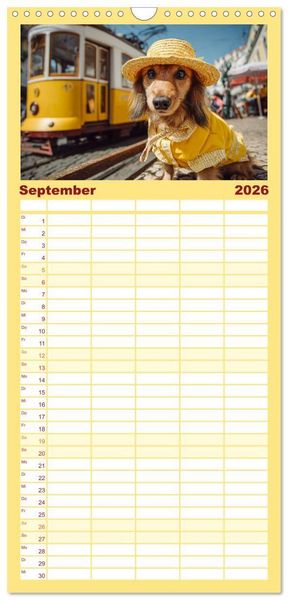 Produktbild: Familienplaner 2026 - Dackel auf gro&szlig;er Tour - S&uuml;&szlig;e Hunde entdecken die Welt mit 5 Spalten (Wandkalender, 21 x 45 cm) CALVENDO