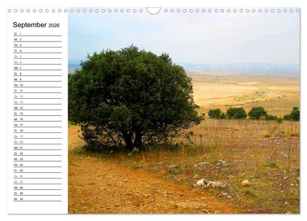Produktbild: Jakobsweg - Camino Frances (Wandkalender 2026 DIN A3 quer), CALVENDO Monatskalender