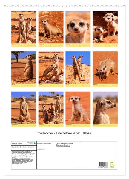 Produktbild: Erdm&auml;nnchen - Eine Kolonie in der Kalahari (Wandkalender 2026 DIN A2 hoch), CALVENDO Monatskalender