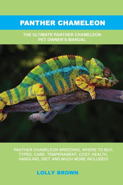 Produktbild: Panther Chameleon